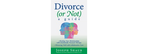 Ten Questions for Joe Shaub, Author of Divorce (or Not) A Guide
